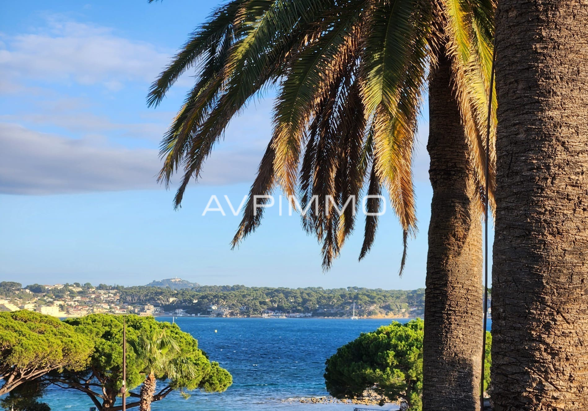 Agence immobilière de AVP IMMO