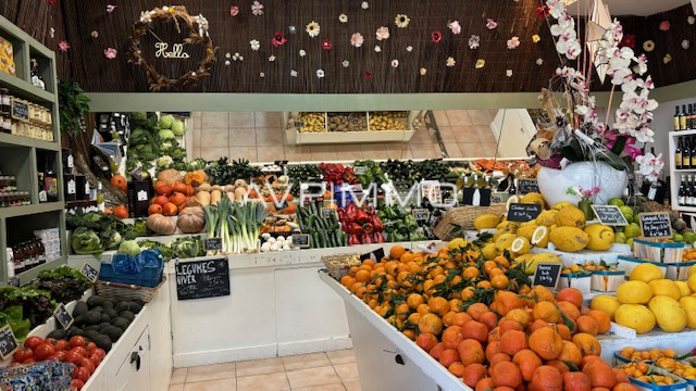 Agence immobilière de AVP IMMO