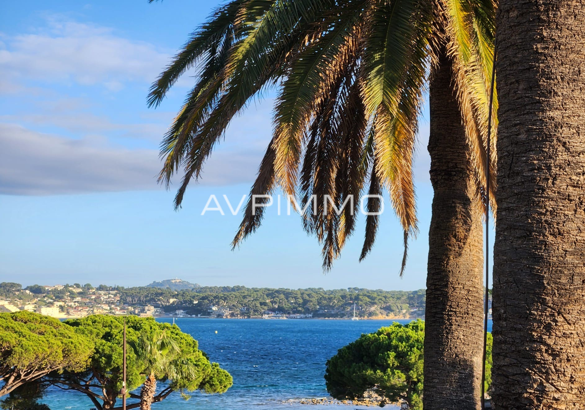 Agence immobilière de AVP IMMO