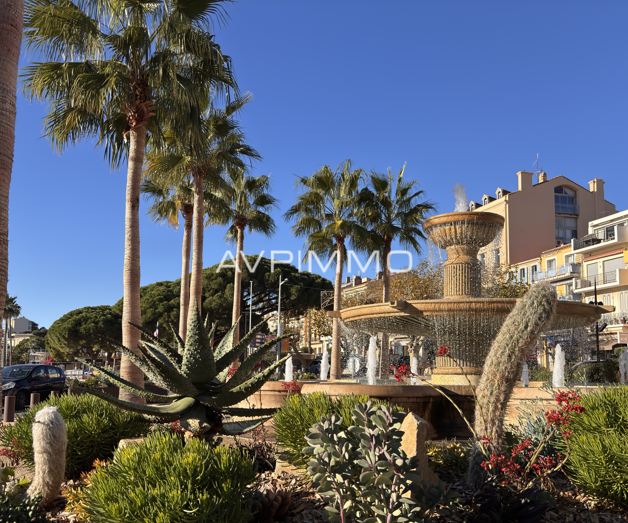 Agence immobilière de AVP IMMO