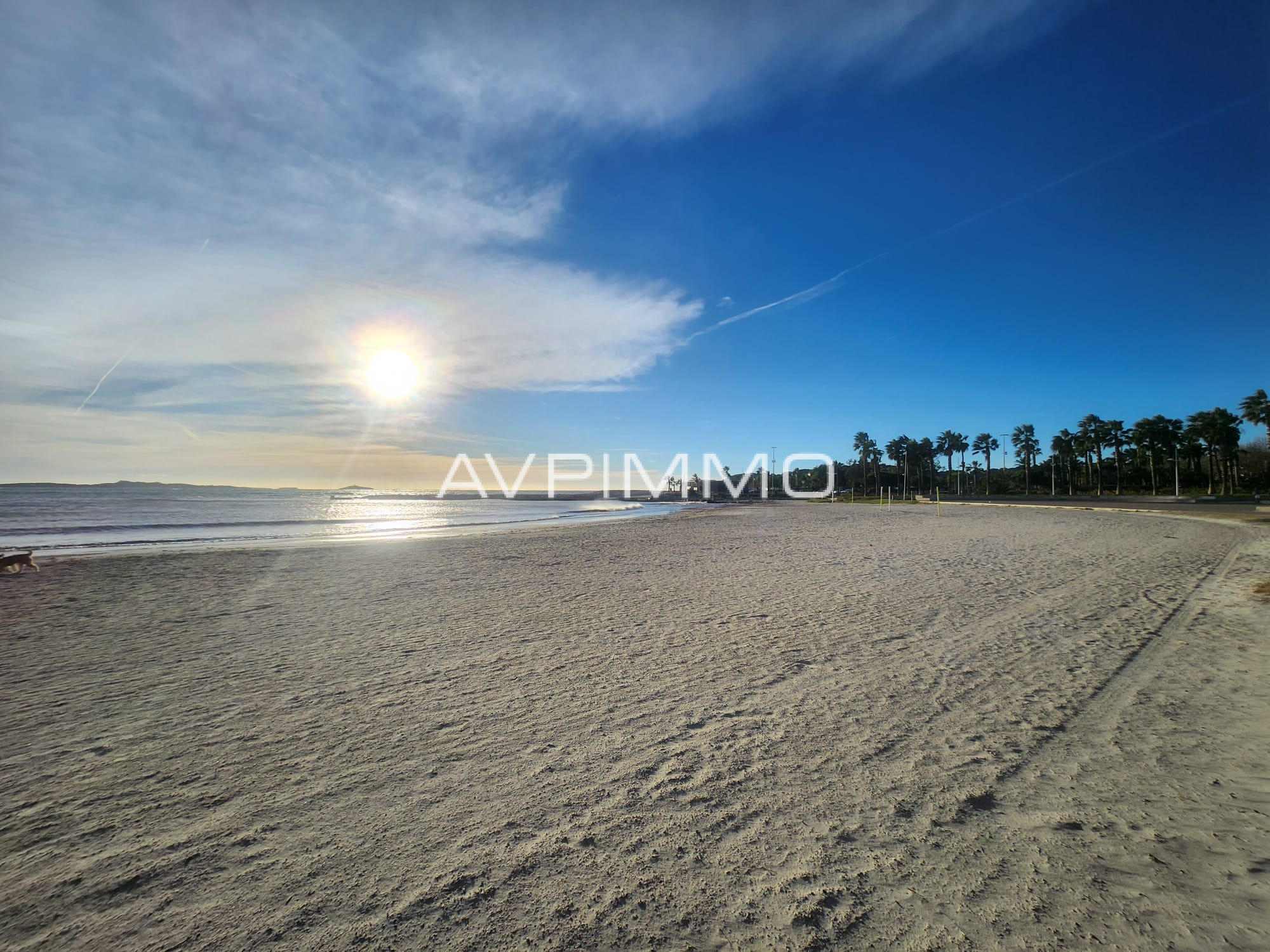Agence immobilière de AVP IMMO