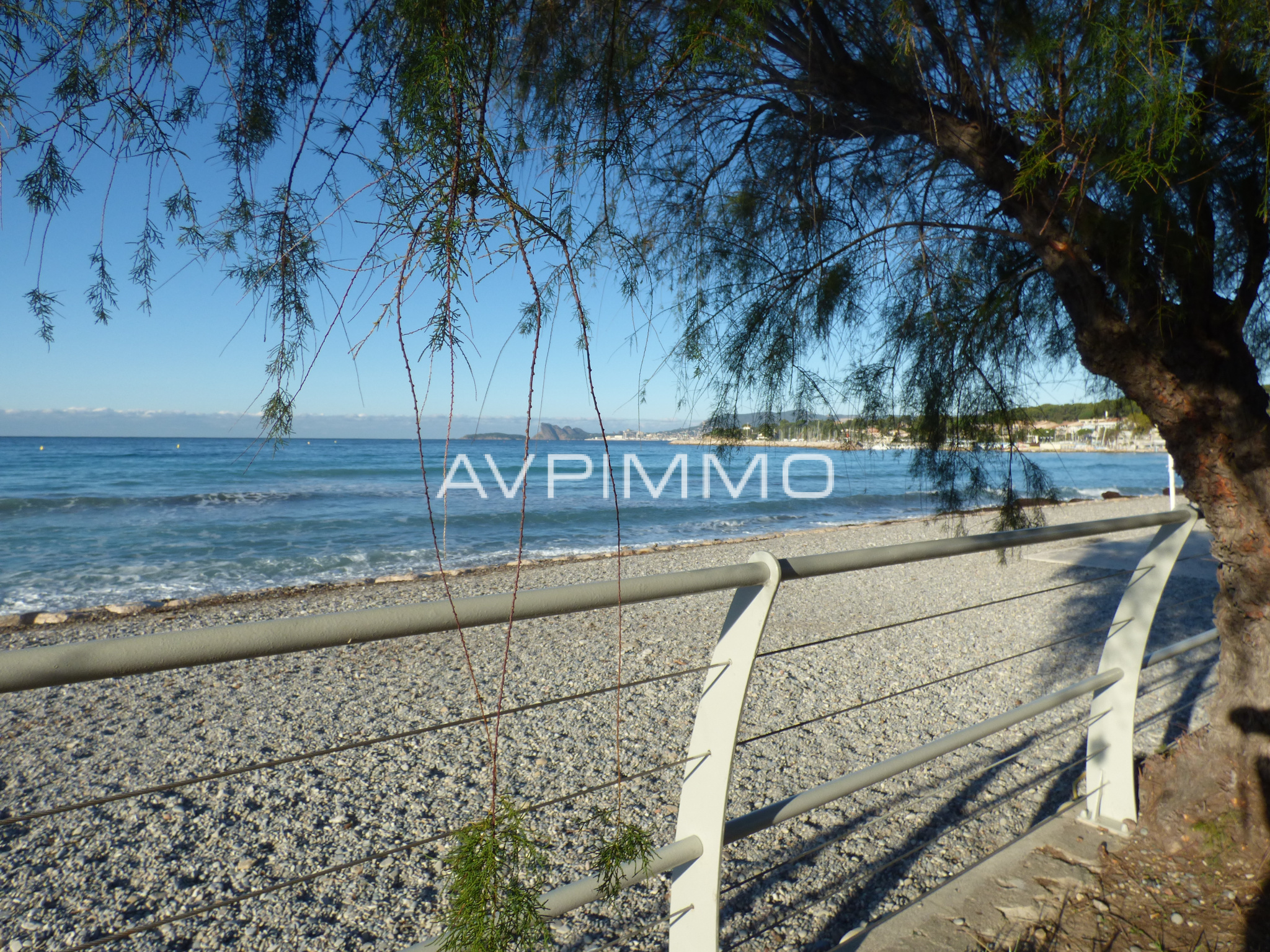 Agence immobilière de AVP IMMO